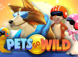 RTP SLOT MICROGAMING